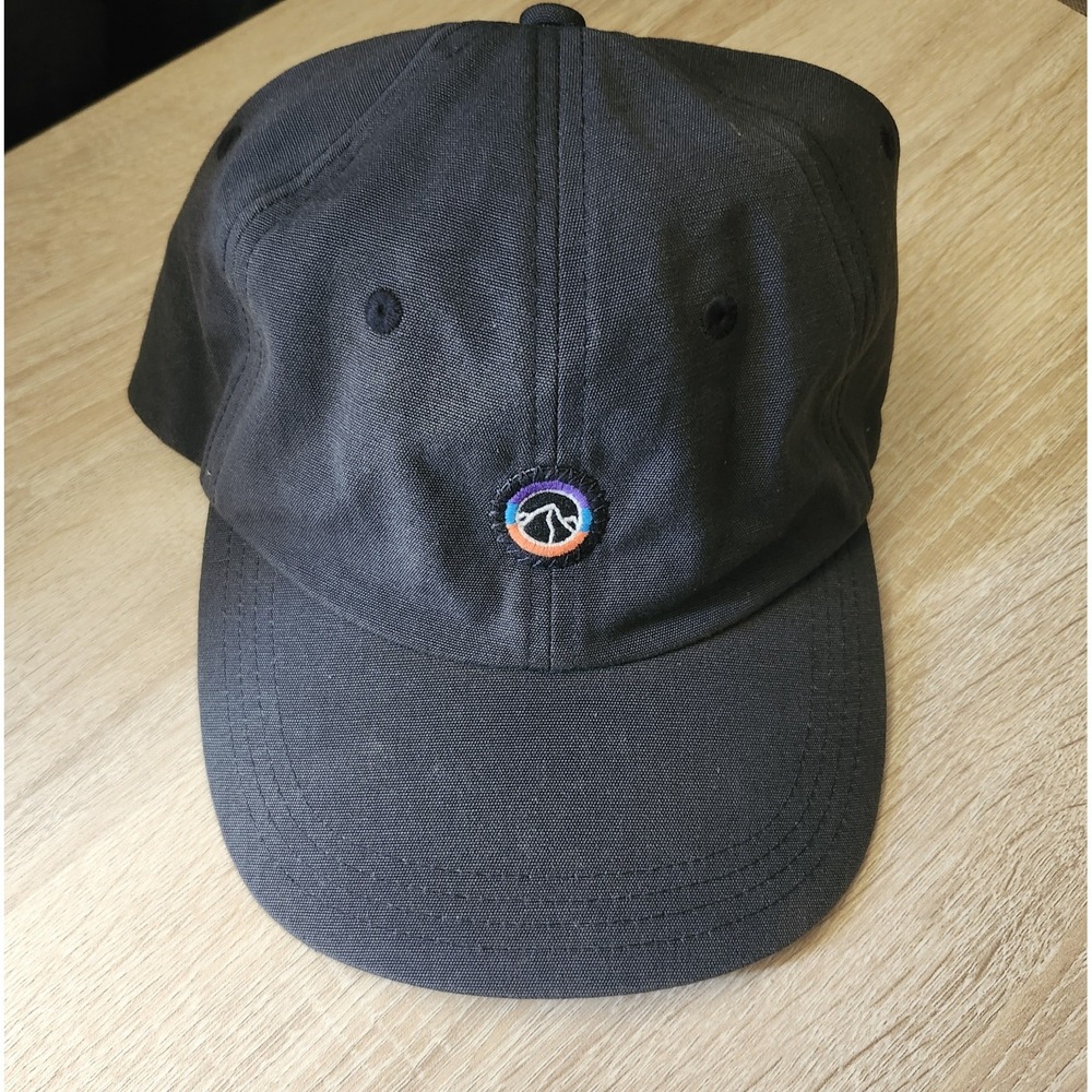 Patagonia P-6 Low Crown 6 Panel Label Trad Cap Adult Gray Strap Back Hat